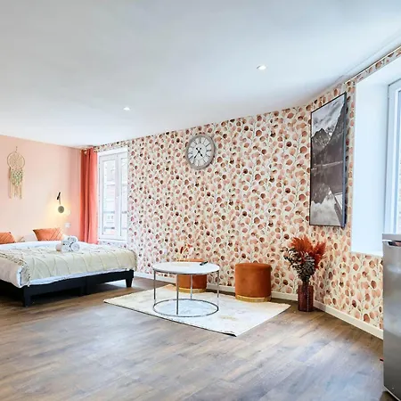 Ng Prestige L Lille L - Bouvines Balneo Apartment *