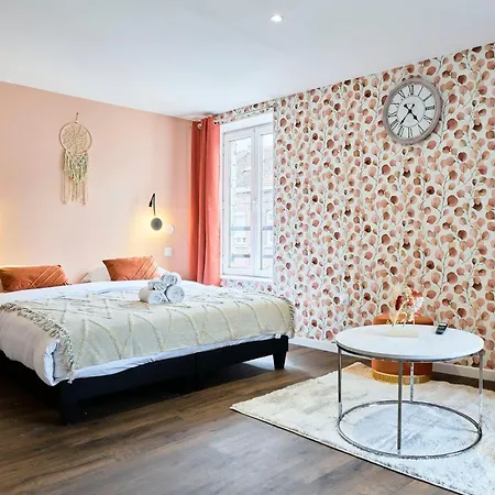 Apartment Ng Prestige L Lille L - Bouvines Balneo *